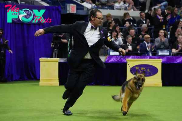 148th Annual Westminster Kennel Club Dog Show - Best In Show