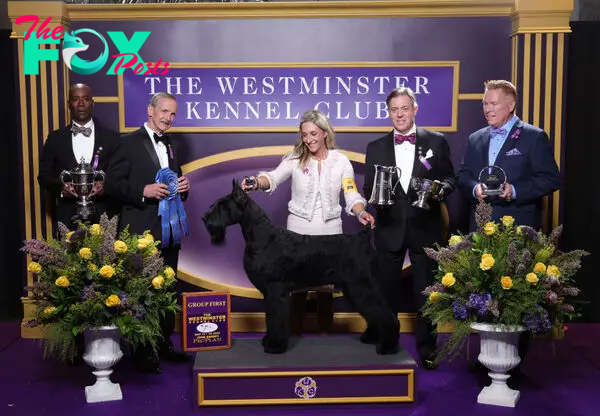 148th Annual Westminster Kennel Club Dog Show - Best In Show