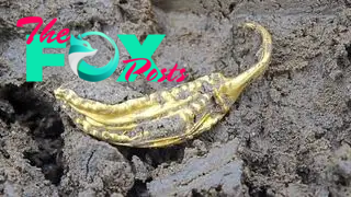 A photo of a gold earring in the mud