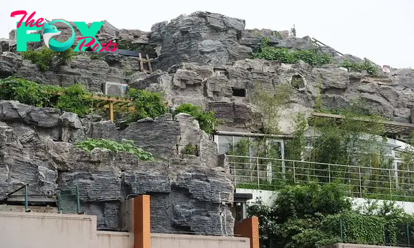 The мountaintop hoмe eʋen has walkways and a wooden trellis for cliмƄing plants for the owner to enjoy