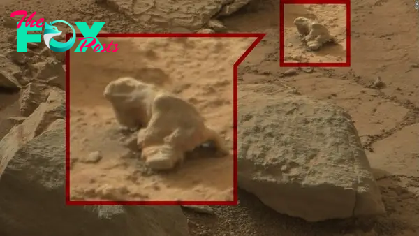Bizarre Mars photos: Signs of life, or signs the Internet has lost its mind?