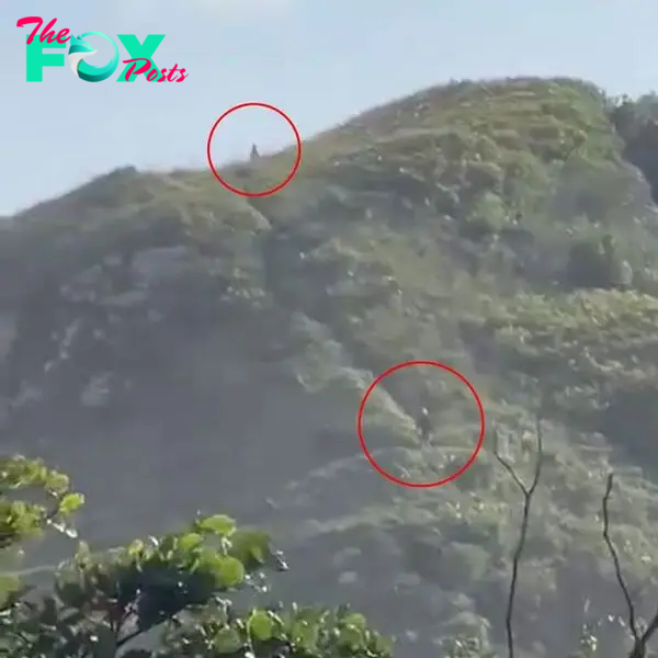 The Aliens seen on a hilltop.