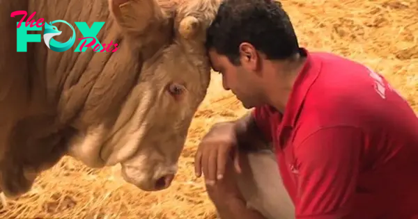 Bull's been imprisoned his entire life - the moment he's set free is gorgeous to behold