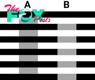 Horizontal black lines over a white backgroundand two vertical rectangles overlapping them, one labeled "A" and one "B." "A" appears darker than "B"