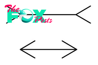 Two black lines over a white background. The line at the top has two lines on each end that form arrows pointing inward toward the line. The one at the bottom has two lines at each end forming arrows that point outward away from the line