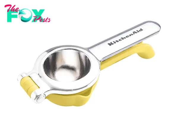 citrus press squeezer