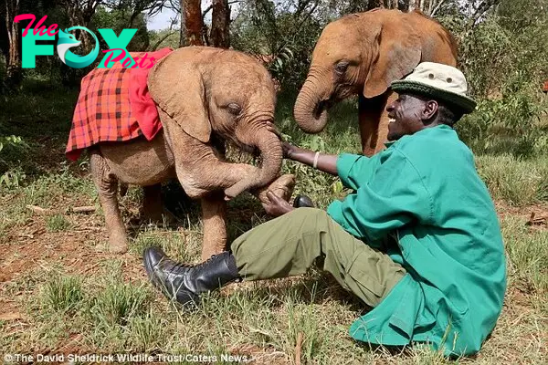 Friends! He said: 'These multi-coloured coats are their secret weapon for survival'