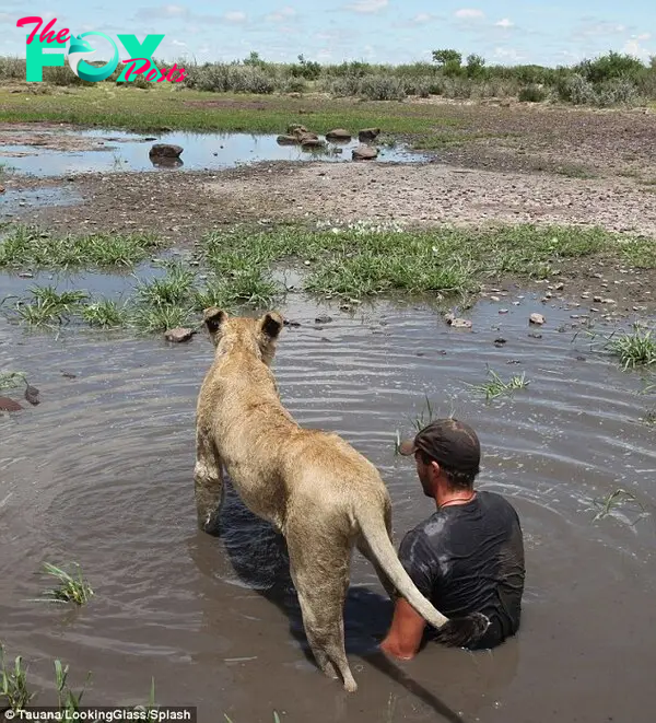 As Sirga does not have a pride to teach her how to hunt, Mr Gruener has to get down and dirty and show her