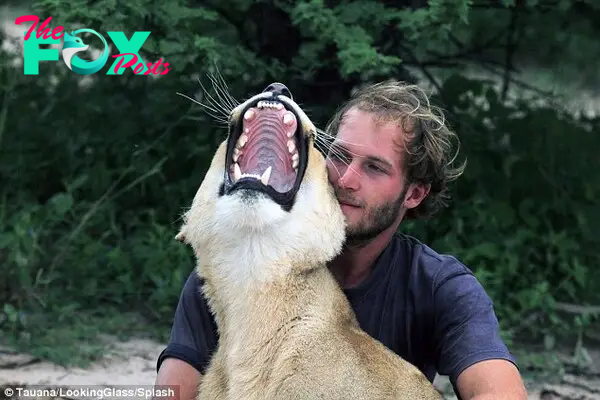 Best buds: Conservationist Valentin Gruener, 27, raised Sirga after she was abandoned by her pride