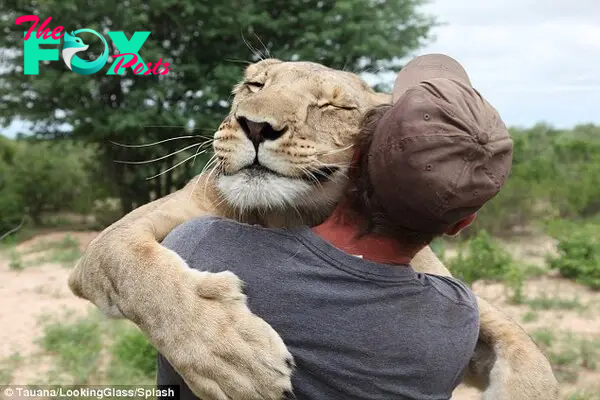 Friends for life: The story of the abandoned lion cub Sirga who was raised by a German wildlife enthusiast in his 20s was one of the most shared stories on social media last year