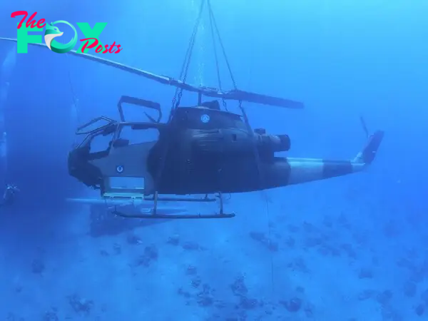 Submerge tanks, combat helicopters ... into the sea to open the museum - Photo 4.