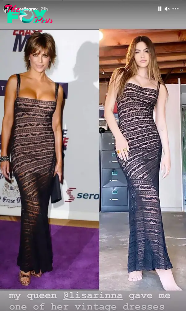 Lisa Rinna and Amelia Hamlin wearing the same dress