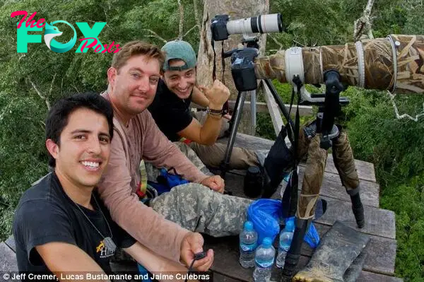 Perched: The wildlife experts (pictured) climbed into the rainforest canopy to observe two harpy eagles with their chick for two days and got so close that they were able to get the whole birds in frame