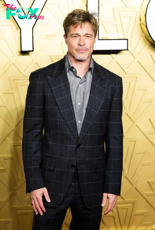 Brad Pitt red carpet photo