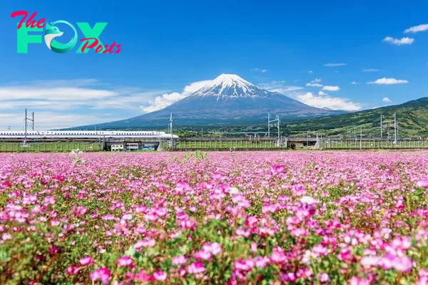 Mount Fuji Train