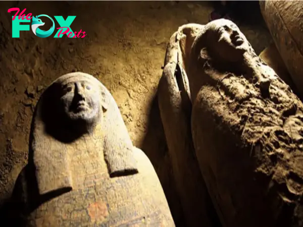 13 coffins, believed to contain 2500 years old mummies, unearthed in Egypt!