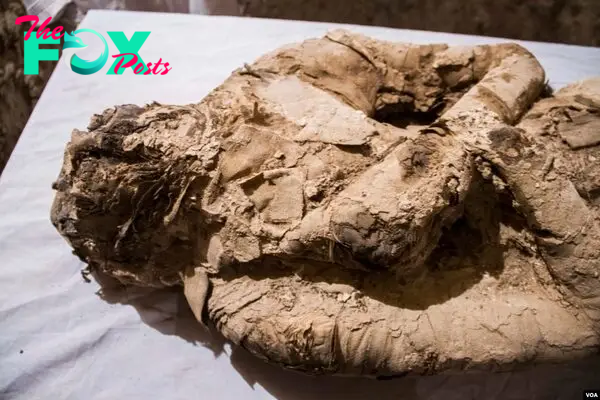 This mummy wrapped in linen, with its hands on its chest in the Osirian form, was found inside the long chamber of the Kampp 150 tomb. Studies suggest that the mummy could have been a top official or a powerful person in the Draa Abul Naga necropolis on Luxor&rsquo;s West Bank, in Luxor, Egypt, Dec. 9, 2017. (H. Elrasam/VOA)