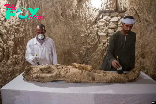 Egyptian excavation workers restore a mummy in a newly discovered tomb, known as Kampp 150, in the Draa Abul Naga necropolis on Luxor’s West Bank, Egypt, Dec. 9, 2017.(H. Elrasam/VOA)