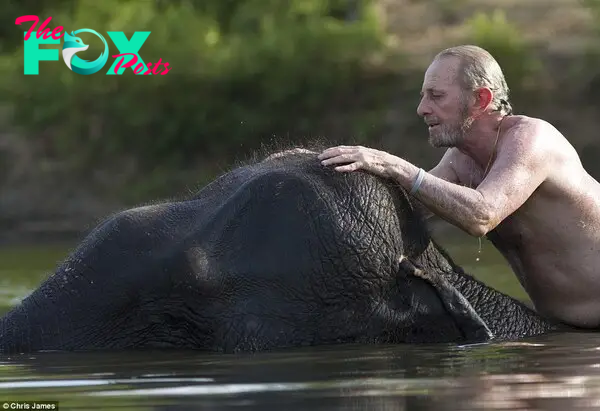 Mark Shand was shocked when he heard of the destruction of Sumatra's elephant population