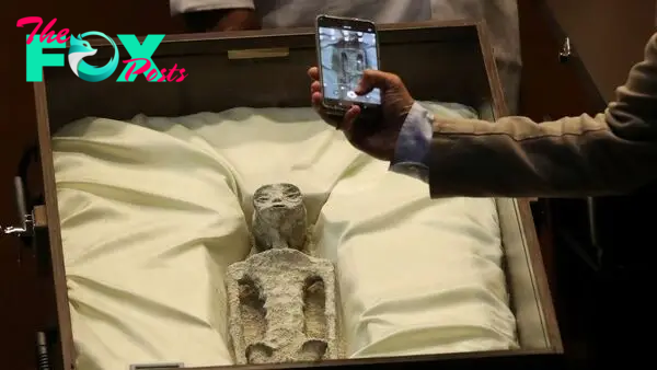 1,000-year-old 'alien corpses' displayed in glass cases in Mexico | World News | Sky News