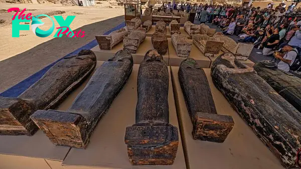 Hundreds of ancient Egyptian sarcophagi, cat mummies and gold-leafed statues unearthed at necropolis | Live Science