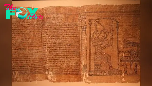 See photos of stunningly preserved 52-foot-long Book of the Dead papyrus  from ancient Egypt | Live Science