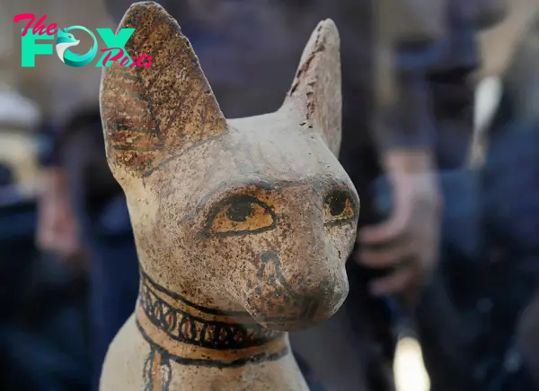  Ancient Egyptians would create markings on cat statues to make them look more lifelike