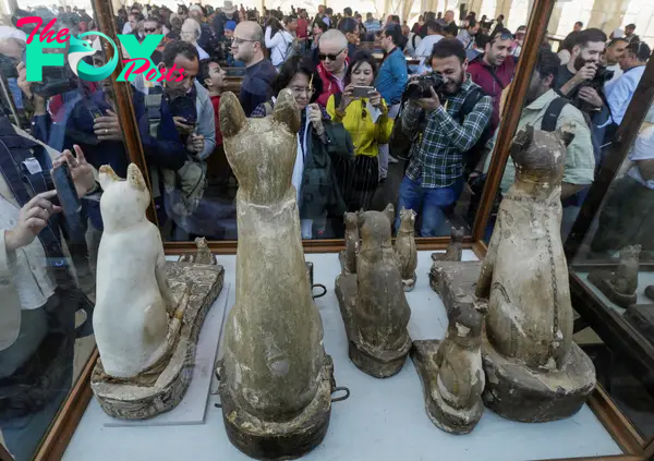  Cat statues found at the site reveal how revered the animal was in Ancient Egyptian times