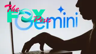 The silhouette of a man in front of the Gemini logo