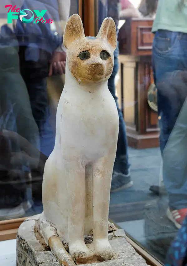 This cute feline statue was found inside a Saqqara cache