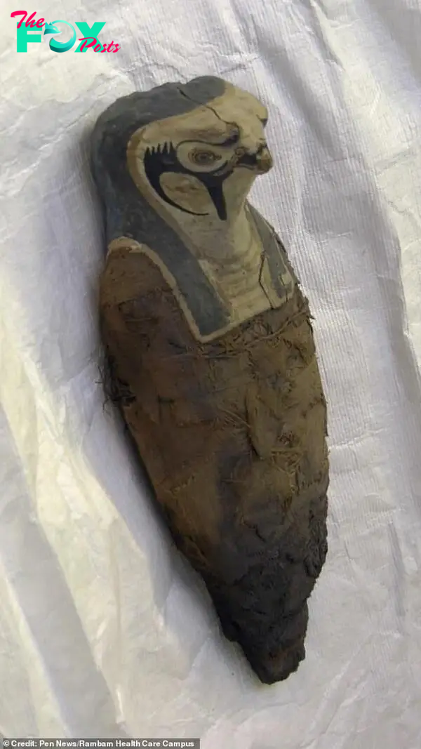 Photo shows a second bird-like mummy - one of two mummies studied by researchers. This likely represented the ancient Egyptian god Horus