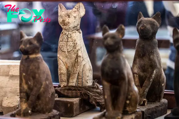  Statues of cats were very common in Ancient Egyptian times