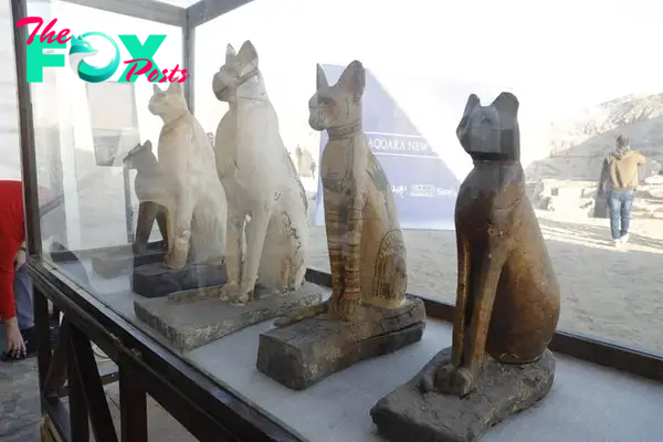  More discoveries at Saqqara are expected to be found in the coming years