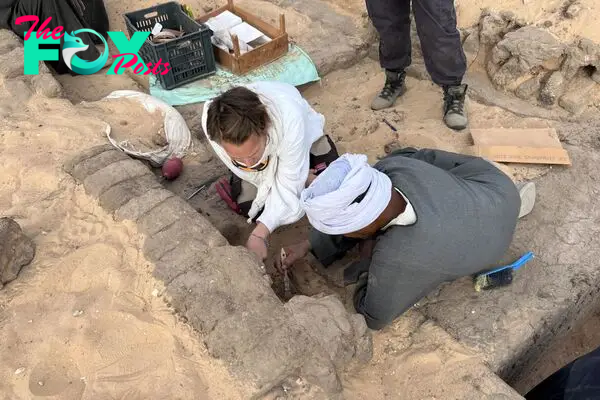 Sealed jars of wine from 5,000 years ago have been discovered in the tomb of Queen Meret-Neith, who is believed to be Egypt’s first female pharaoh.