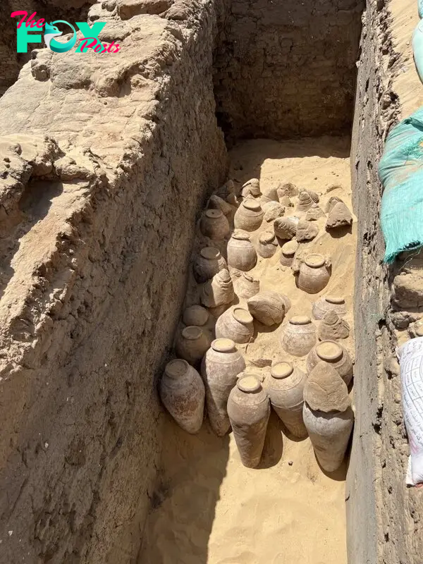 These are the 5000-year-old wine jars — some are still sealed. 