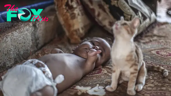 Baby Muhammed, who cannot play with his peers because he is born with no legs and arms, spends most of the day with his cat.