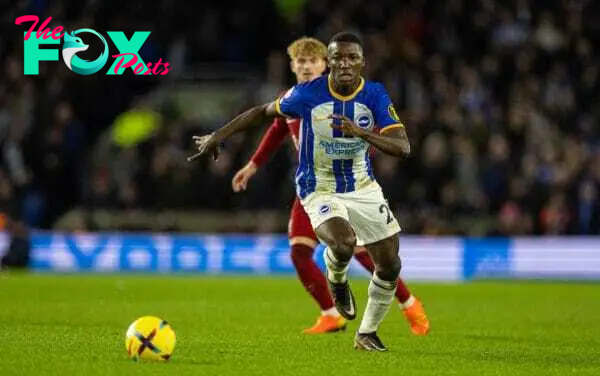 BRIGHTON & HOVE, ENGLAND - Saturday, January 14, 2023: Brighton & Hove Albion's Moisés Caicedo during the FA Premier League match between Brighton & Hove Albion FC and Liverpool FC at the Falmer Stadium. (Pic by David Rawcliffe/Propaganda)