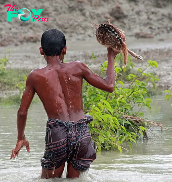 bangladeshi-boy-saves-drowning-baby-deer-8