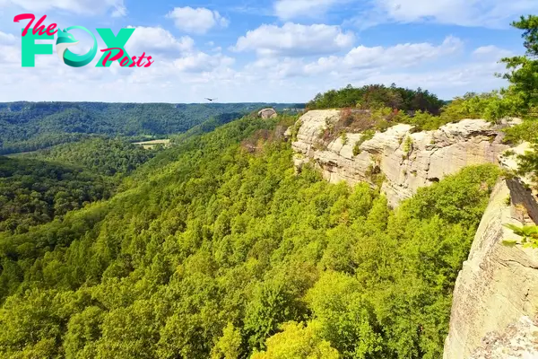 Red River Gorge in Kentucky