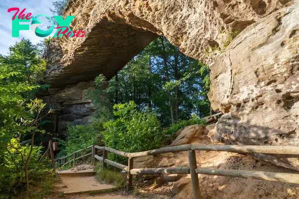 Natural Bridge State Resort Park