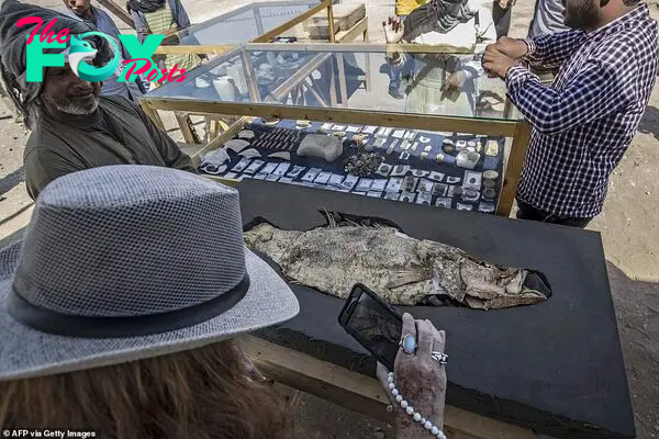 A fossilised fish uncovered inside the city is displayed inside a protective piece of foam