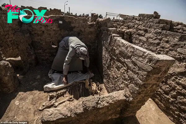 A picture taken on Saturday shows a worker covering an animal skeleton at the archaeological site of a 3000 year old city, dubbed The Rise of Aten, dating to the reign of Amenhotep III, uncovered by the Egyptian mission near Luxor