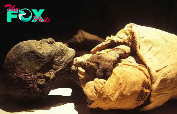 Mummy of Thutmose II - Egypt Museum