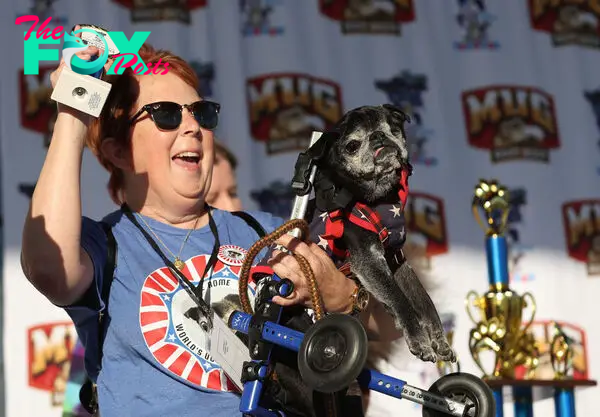 World's Ugliest Dog Awards Held At The Sonoma-Marin Fair In California