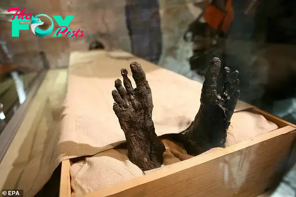 The feet of the Boy Pharaoh King Tutankhamun protrudes from the linen covering his mummy after it was placed in a special climatized glass case inside his tomb in the Valley of the Kings near Luxor