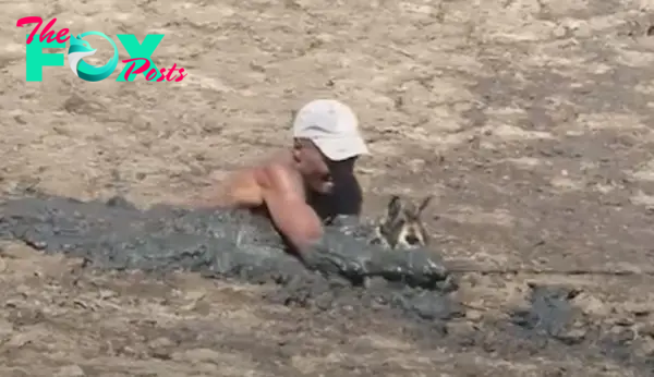 Man Risks His Own Safety to Rescue Impala Stuck in Mud - Good News Network