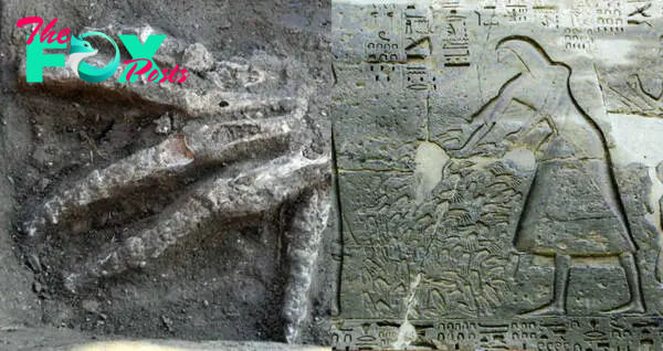 Severed Hands May Have Been A Spoil Of War In Ancient Egypt