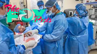 Four medical professionals are shown in the operating theater surrounding a patient who is lying down on a bed. They are all wearing blue surgical gowns, face masks and hair nets. A surgeon in the center of the image is turning away from the patient as he puts a kidney in a bowl being held by another medical professional.