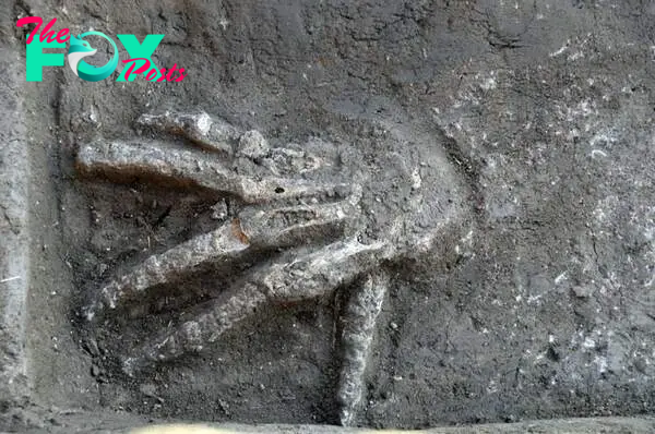 Severed right hands unearthed in ancient Egypt palace