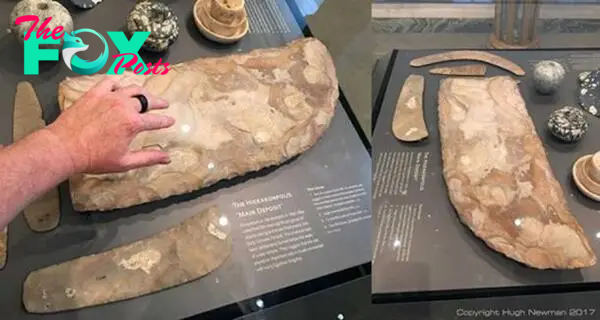 Oversized flint knife at the Ashmolean Museum said to be 'ceremonial'. Photos by Hugh Newman.